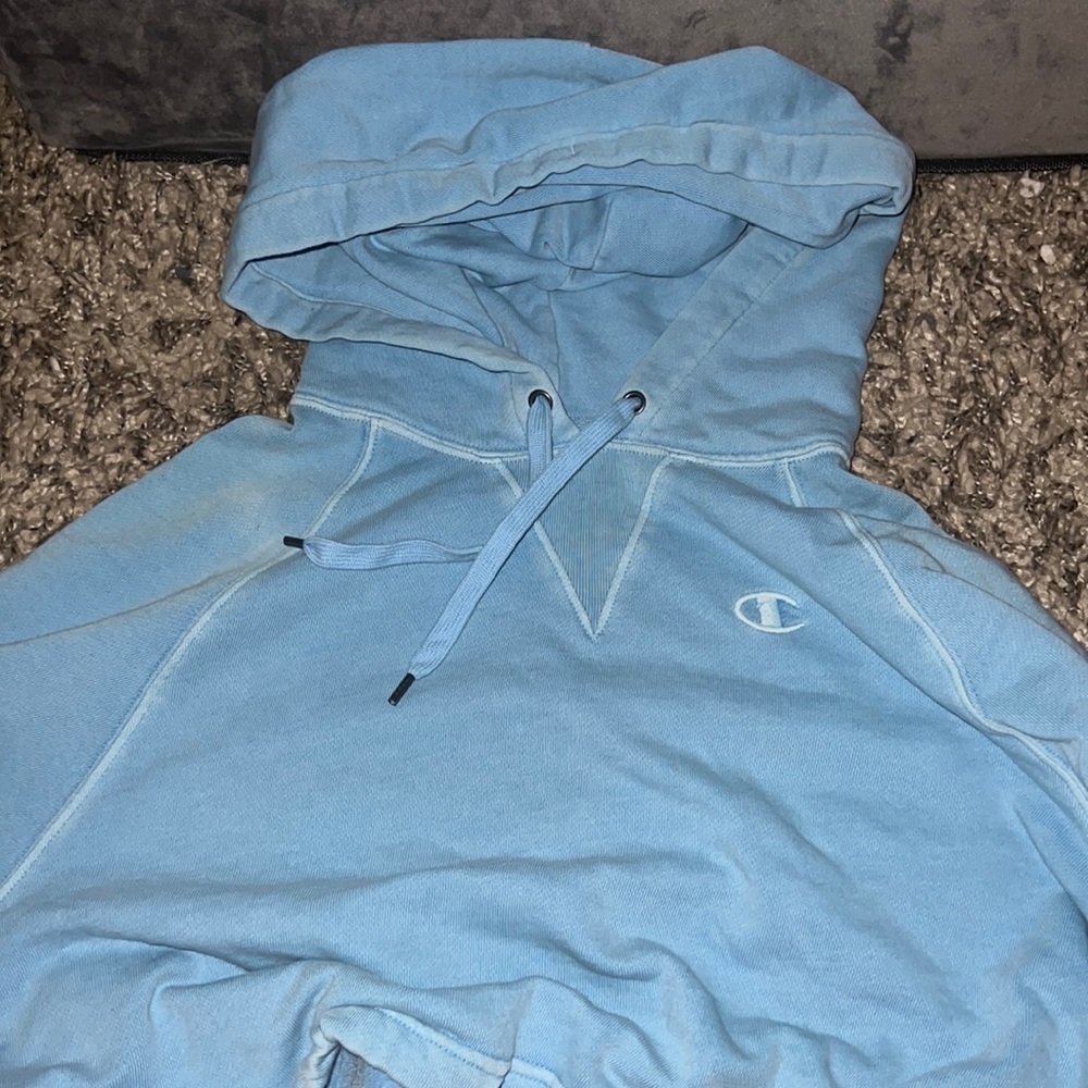 Champion Cropped Hoodie